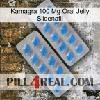 Kamagra 100Mg Oral Jelly Sildenafil 23